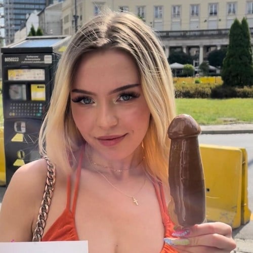 Порнозвезда: LIs Evans (Лиз Еванс)